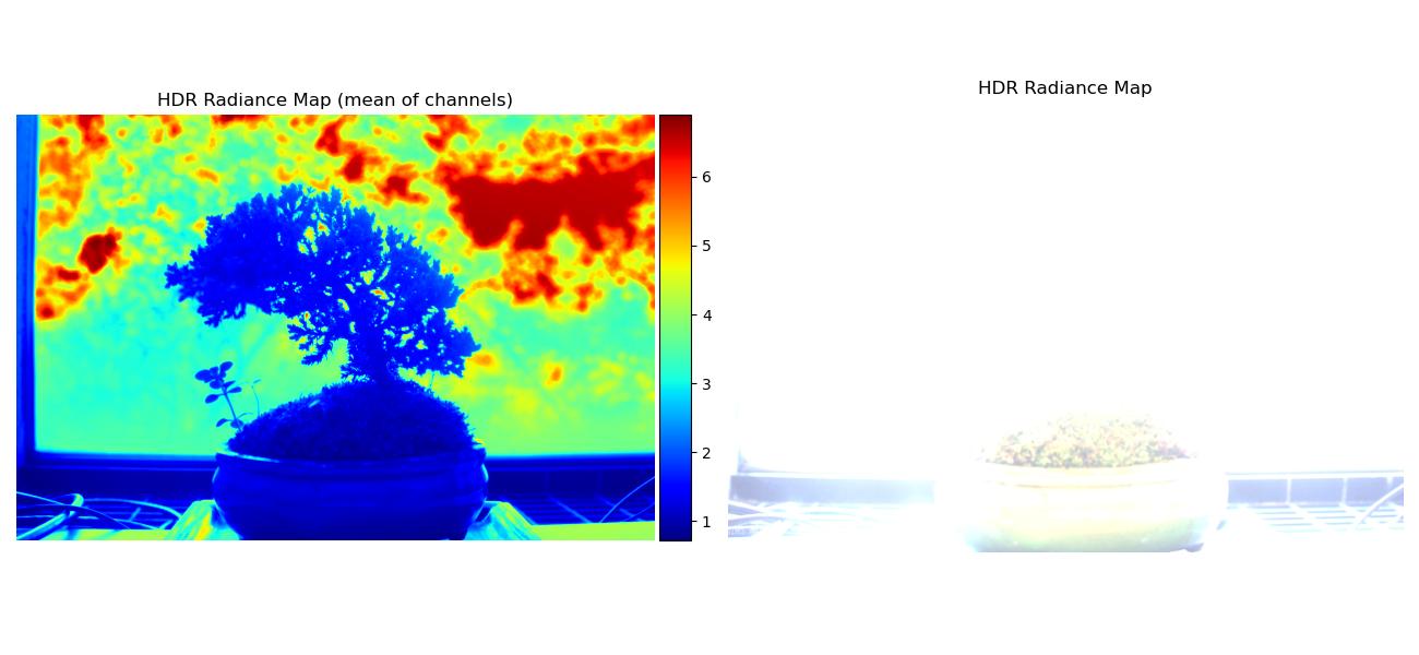 bonsai radiance maps