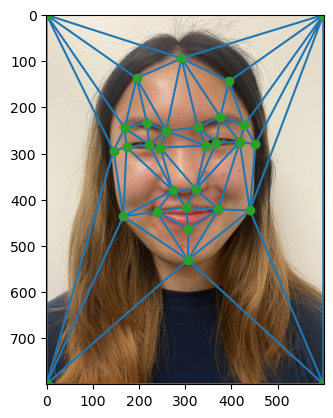 Triangulation overlaid over Elana original image