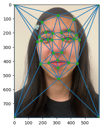 Triangulation overlaid over Rebecca original image