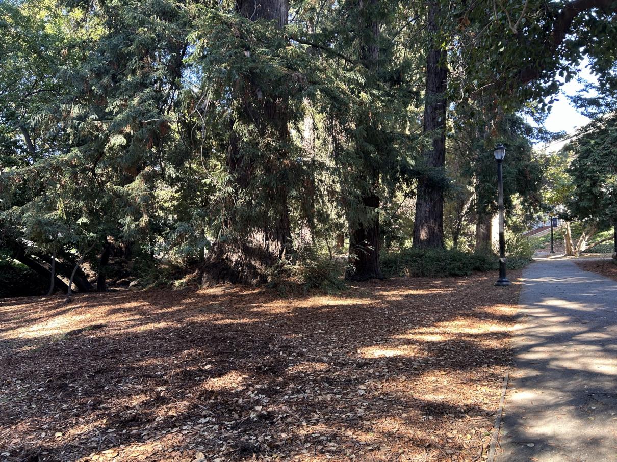 campus path left