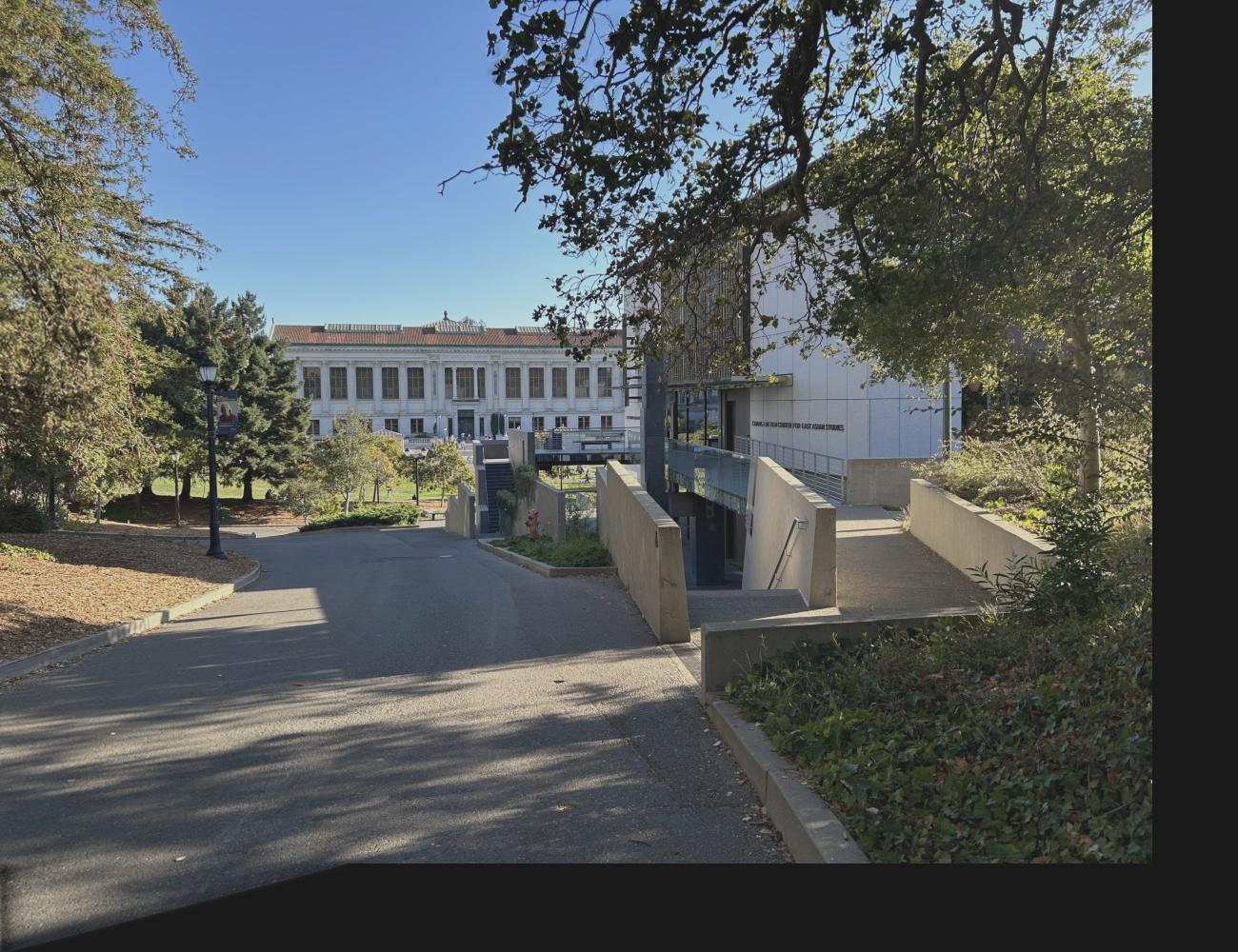 blended doe library