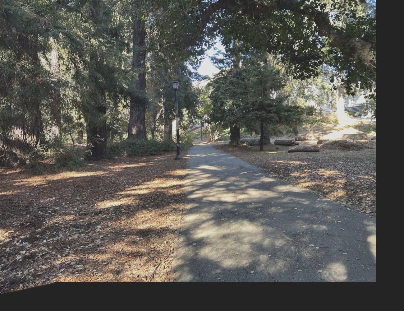 autostitched campus path