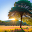 tree 7