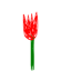 drawn tulip original